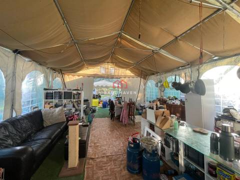 Quinta  Venda em Santiago de Cassurrães e Póvoa de Cervães,Mangualde