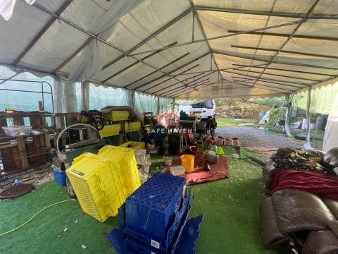 Quinta  Venda em Santiago de Cassurrães e Póvoa de Cervães,Mangualde