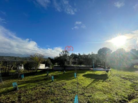 Quinta  Venda em Santiago de Cassurrães e Póvoa de Cervães,Mangualde