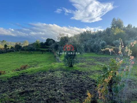 Quinta  Venda em Santiago de Cassurrães e Póvoa de Cervães,Mangualde