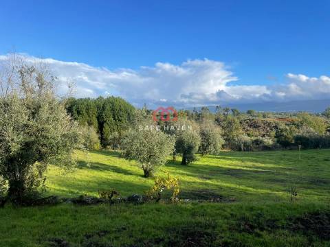 Quinta  Venda em Santiago de Cassurrães e Póvoa de Cervães,Mangualde