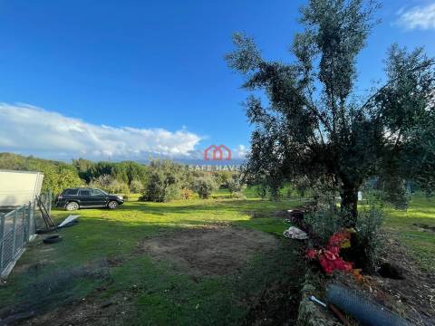 Quinta  Venda em Santiago de Cassurrães e Póvoa de Cervães,Mangualde