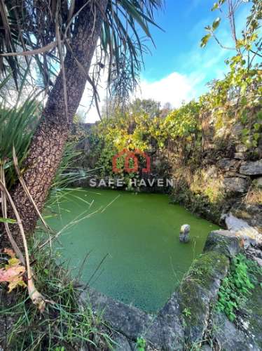 Quinta  Venda em Santiago de Cassurrães e Póvoa de Cervães,Mangualde