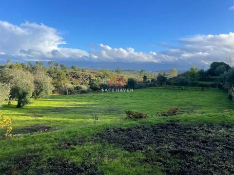 Quinta  Venda em Santiago de Cassurrães e Póvoa de Cervães,Mangualde