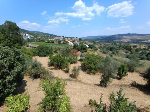 Moradia Isolada T3 Venda em Real,Penalva do Castelo