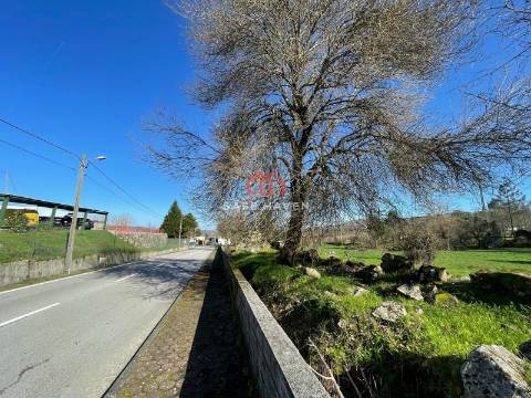 Terreno Para Construção  Venda em Quintela de Azurara,Mangualde