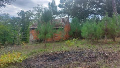 Quinta  Venda em Mangualde, Mesquitela e Cunha Alta,Mangualde