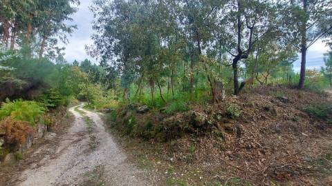 Quinta  Venda em Mangualde, Mesquitela e Cunha Alta,Mangualde