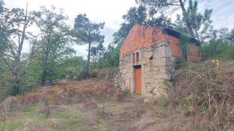 Quinta  Venda em Mangualde, Mesquitela e Cunha Alta,Mangualde