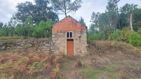 Quinta  Venda em Mangualde, Mesquitela e Cunha Alta,Mangualde