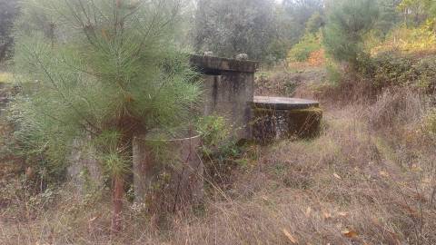 Quinta  Venda em Mangualde, Mesquitela e Cunha Alta,Mangualde