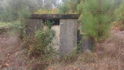Quinta  Venda em Mangualde, Mesquitela e Cunha Alta,Mangualde