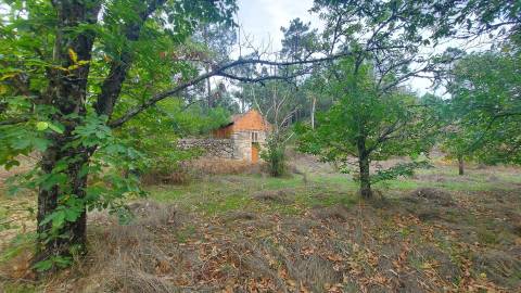 Quinta  Venda em Mangualde, Mesquitela e Cunha Alta,Mangualde