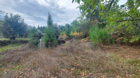 Quinta  Venda em Mangualde, Mesquitela e Cunha Alta,Mangualde