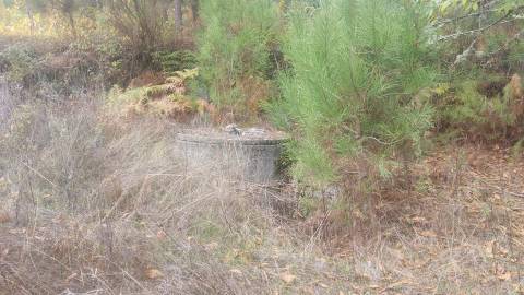 Quinta  Venda em Mangualde, Mesquitela e Cunha Alta,Mangualde