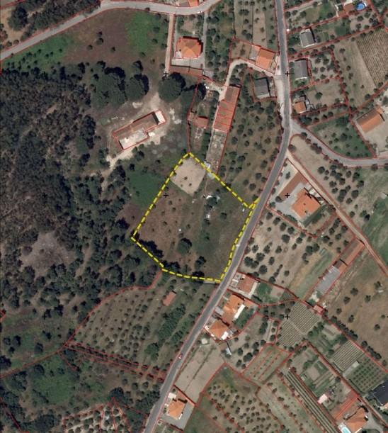 Terreno Para Construção  Venda em Pinhanços,Seia
