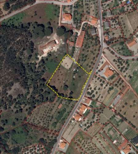 Terreno Para Construção  Venda em Pinhanços,Seia