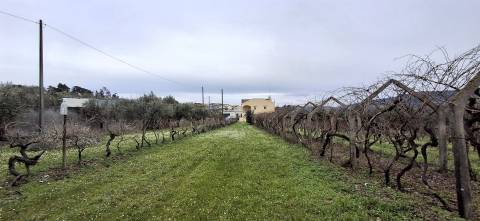 Moradia T6 Venda em Ínsua,Penalva do Castelo