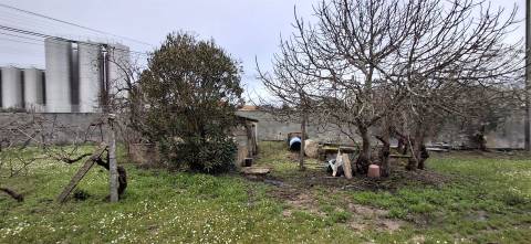 Moradia T6 Venda em Ínsua,Penalva do Castelo