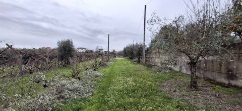 Moradia T6 Venda em Ínsua,Penalva do Castelo