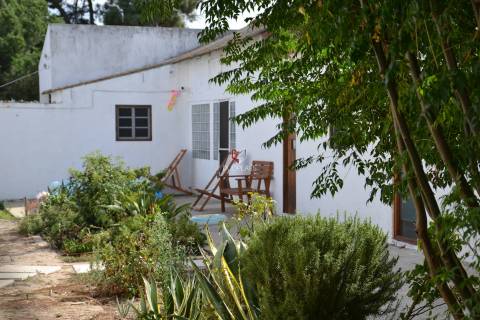 Quinta com 7 hectares e 6000 árvores de fruto no Poceirão