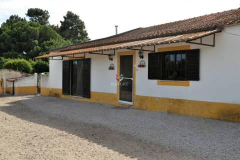 Quinta com 7 hectares e 6000 árvores de fruto no Poceirão