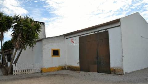 Quinta com 7 hectares e 6000 árvores de fruto no Poceirão