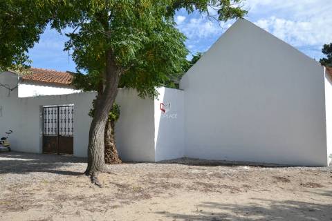 Quinta com 7 hectares e 6000 árvores de fruto no Poceirão
