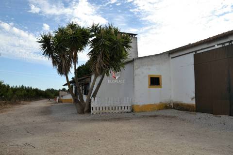 Quinta com 7 hectares e 6000 árvores de fruto no Poceirão