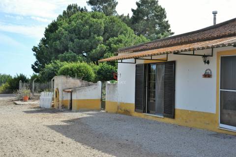 Quinta com 7 hectares e 6000 árvores de fruto no Poceirão