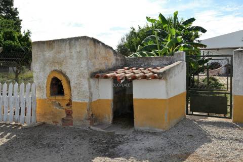 Quinta com 7 hectares e 6000 árvores de fruto no Poceirão