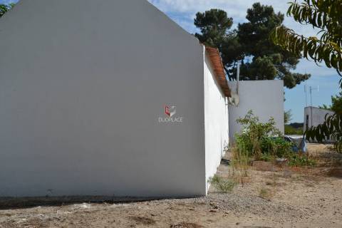 Quinta com 7 hectares e 6000 árvores de fruto no Poceirão