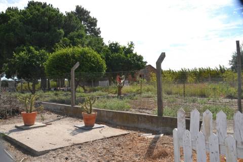 Quinta com 7 hectares e 6000 árvores de fruto no Poceirão