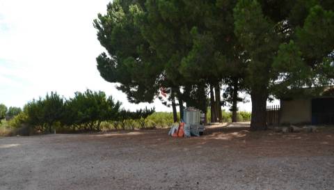 Quinta com 7 hectares e 6000 árvores de fruto no Poceirão