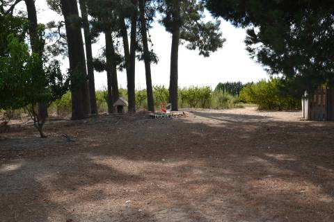 Quinta com 7 hectares e 6000 árvores de fruto no Poceirão