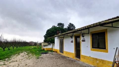 Quinta com 7 hectares e 6000 árvores de fruto no Poceirão