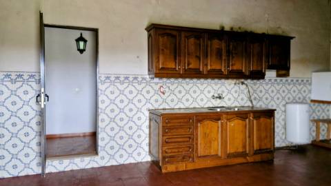 Quinta com 7 hectares e 6000 árvores de fruto no Poceirão