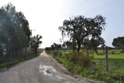 Terreno rústico com 10 HA apto a receber equipamentos de exploração de energia solar fotovoltaica