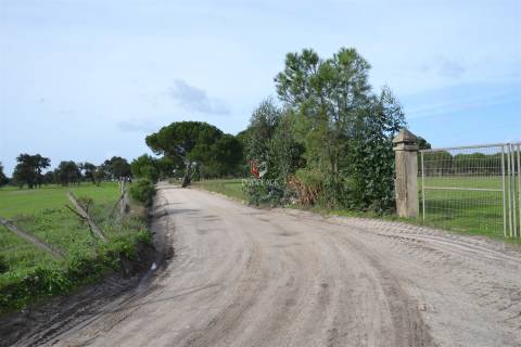 Terreno rústico com 10 HA apto a receber equipamentos de exploração de energia solar fotovoltaica