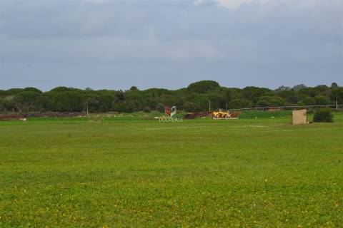 Terreno rústico com 10 HA apto a receber equipamentos de exploração de energia solar fotovoltaica