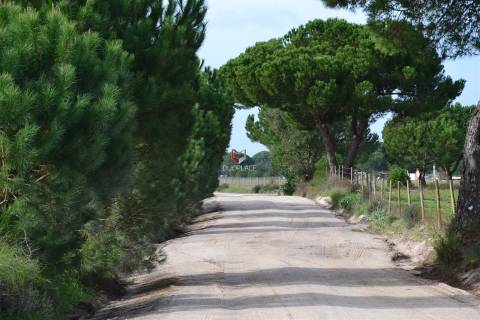 Terreno rústico com 10 HA apto a receber equipamentos de exploração de energia solar fotovoltaica