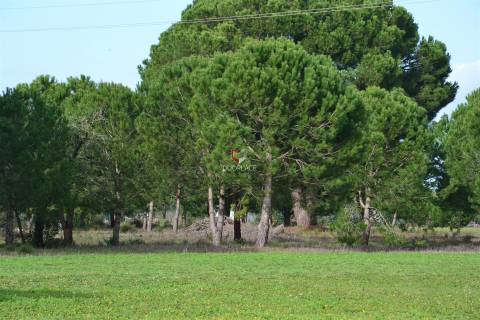 Terreno rústico com 10 HA apto a receber equipamentos de exploração de energia solar fotovoltaica
