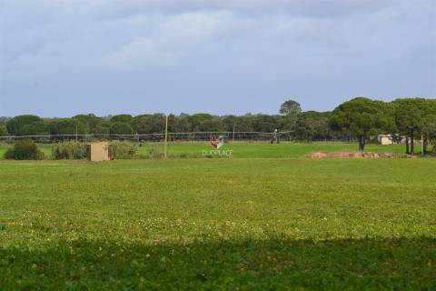Terreno rústico com 10 HA apto a receber equipamentos de exploração de energia solar fotovoltaica