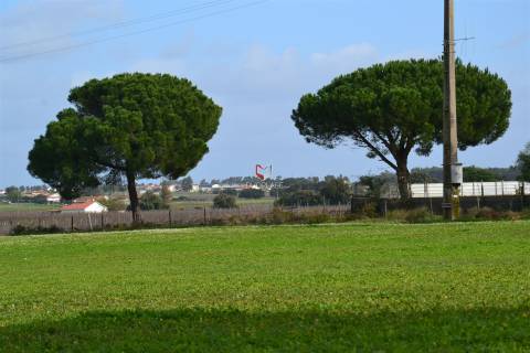 Terreno rústico com 10 HA apto a receber equipamentos de exploração de energia solar fotovoltaica