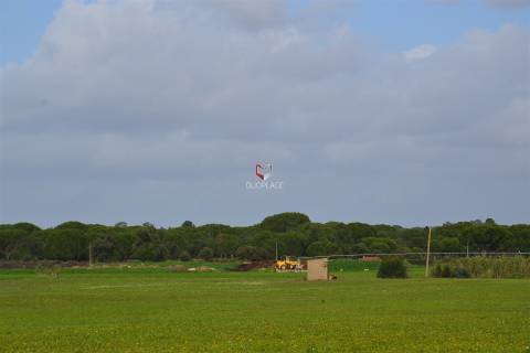 Terreno rústico com 10 HA apto a receber equipamentos de exploração de energia solar fotovoltaica