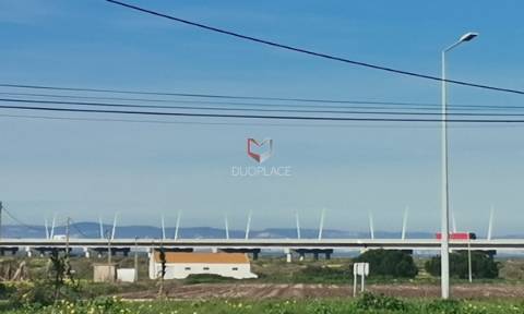 Terreno misto no Samouco