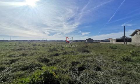 Terreno misto no Samouco