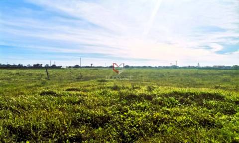 Terreno misto no Samouco