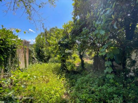 Moradia para Restaurar T4 Venda em Avelar,Ansião