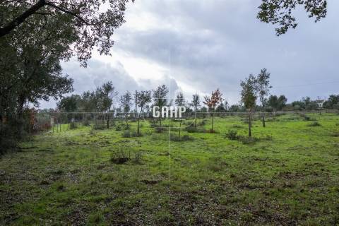 Terreno Rústico  Venda em Oliveira do Mondego e Travanca do Mondego,Penacova